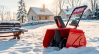 snow blowers for seniors