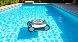 affordable pool cleaning devices