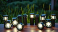 top solar flashlights 2025