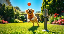 best automatic dog ball launchers