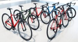premium bicycles for stylish riding