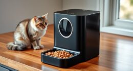 top automatic pet feeders