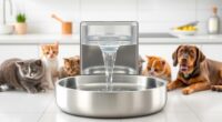 top automatic pet water fountains