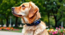 top gps dog collars