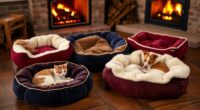 top heated pet bed options