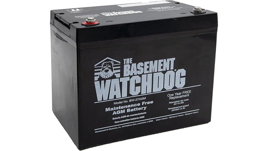 battery for sump pump