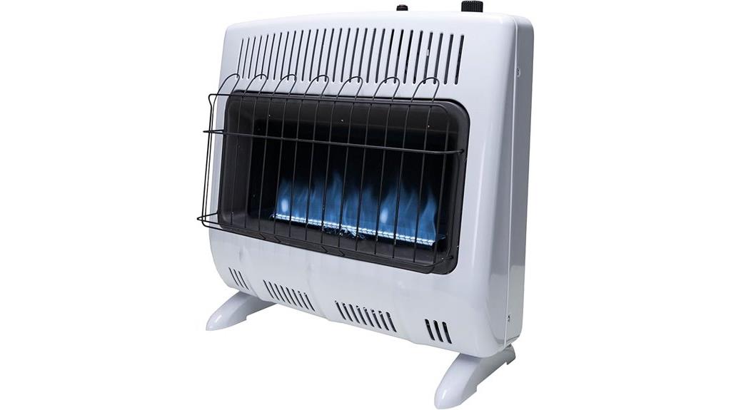 blue flame propane heater