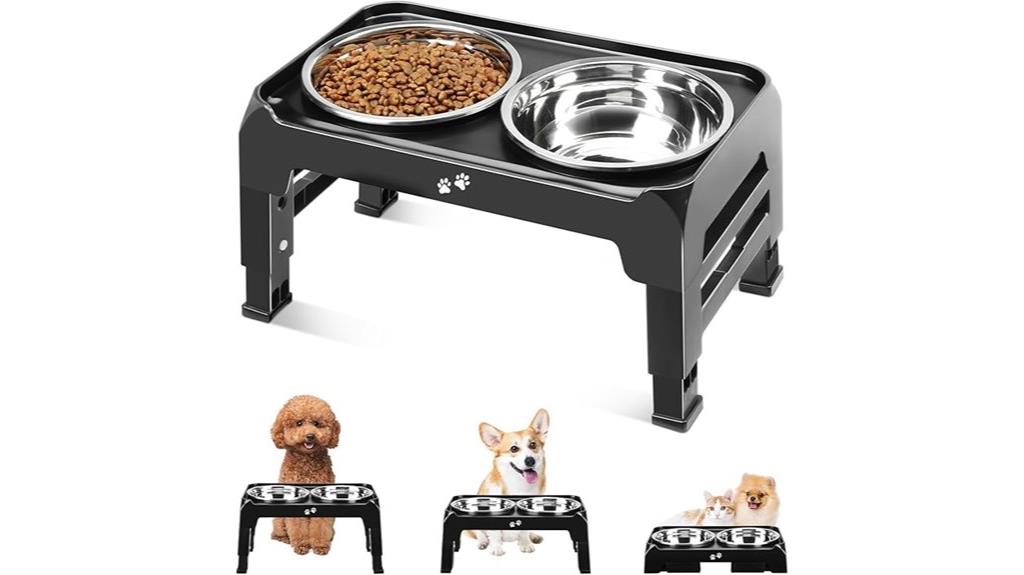elevated small dog bowls