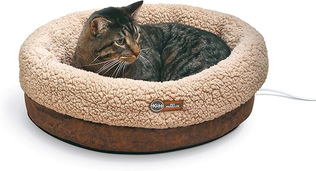 heated indoor cat bed