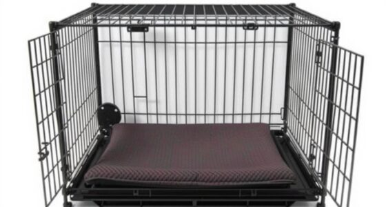 heavy duty crate with divider