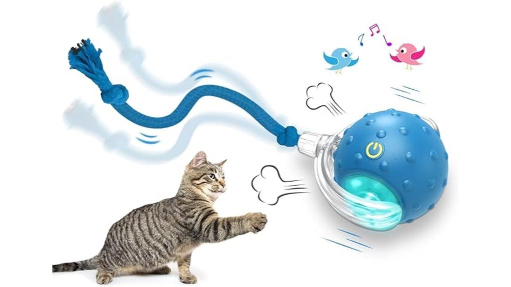 interactive ball for cats