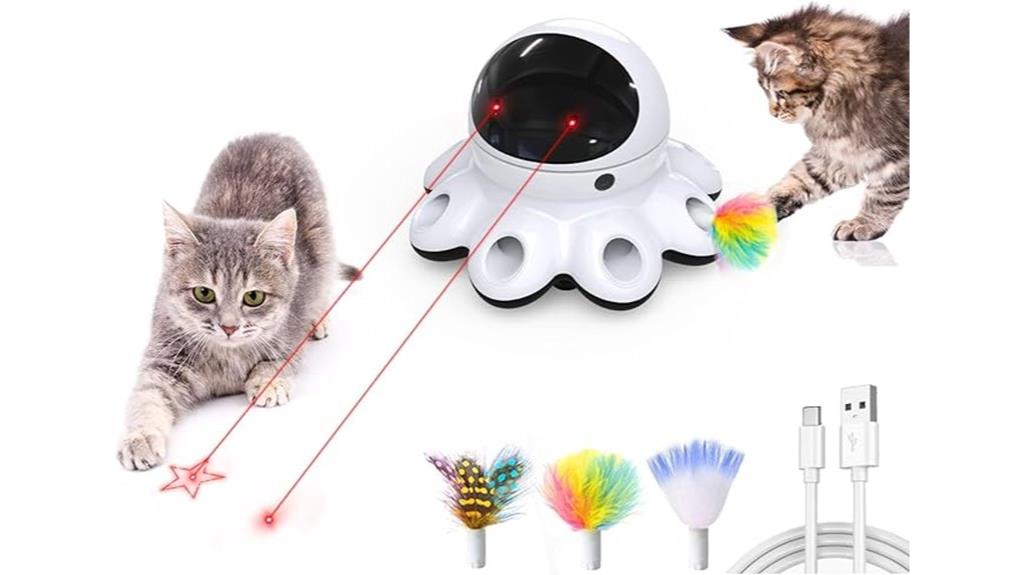 laser toy with feather