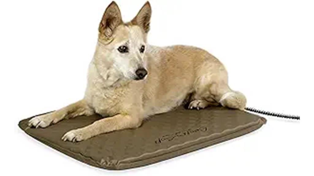 orthopedic heated pet bed