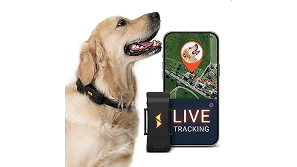 real time 4g dog tracker