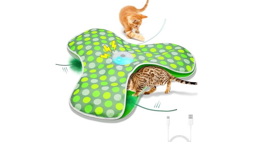 rechargeable cat toy set
