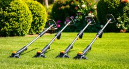 top cordless trimmer sets