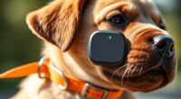 top lte pet trackers