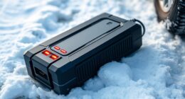 top portable winter jump starters