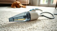 top pet carpet cleaning tools