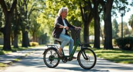 top senior electric tricycles