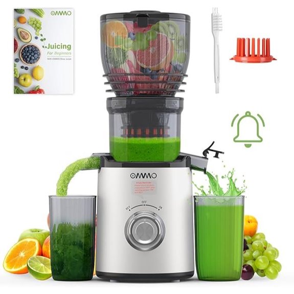 300w cold press juicer