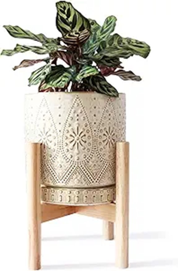 8 Inch Ceramic Plant Pot with Stand