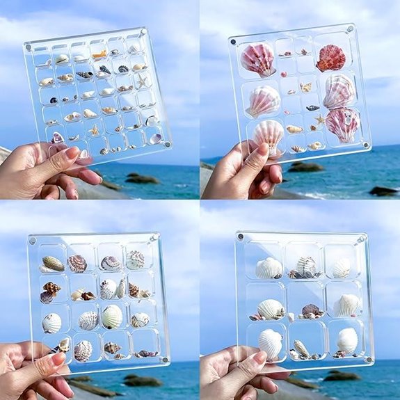 Acrylic Seashell Display Box with Tweezers