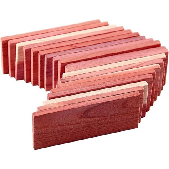 Cedar Space Aromatic Cedar Blocks for Closet (16pcs)
