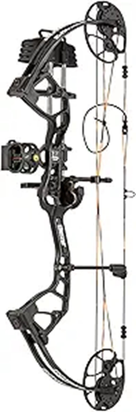 bear royale compound bow