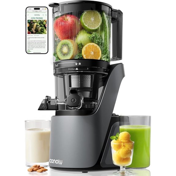 cold press juicer 3 in 1