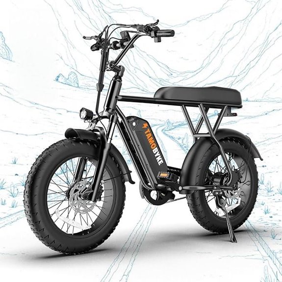 T63 Multi-Color 1000W Electric Bike with Fat Tires