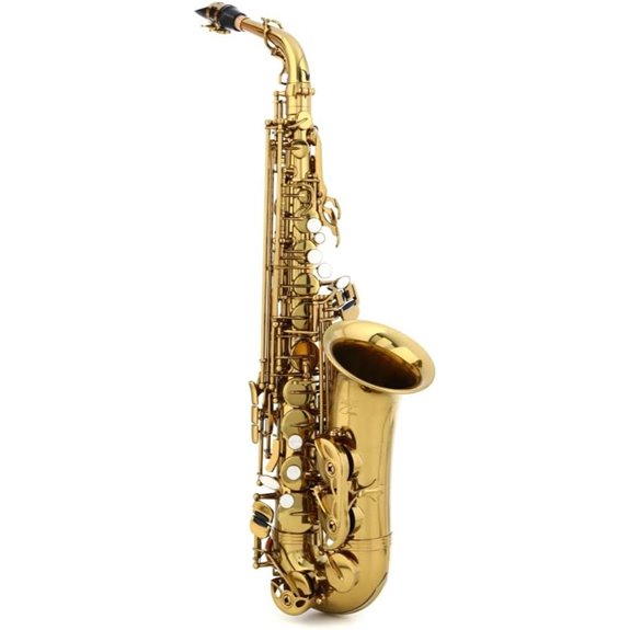 complete alto saxophone kit