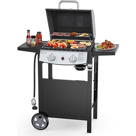 2-Burner Propane Gas BBQ Grill with Side Shelves
