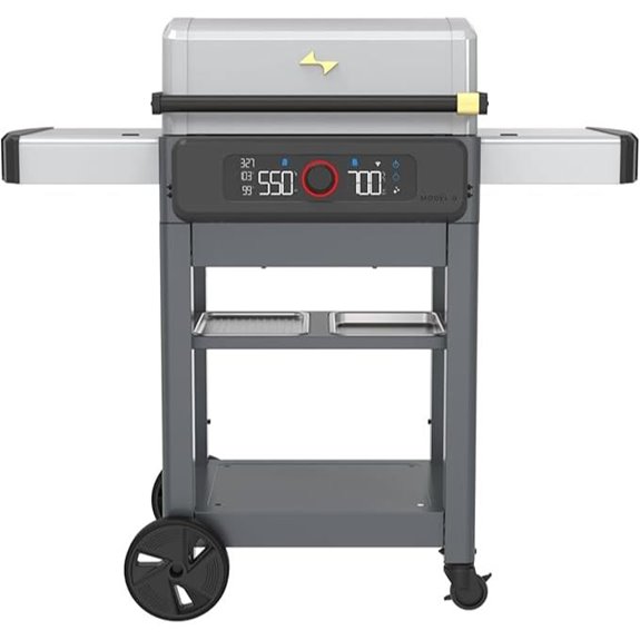 dual zone electric grill