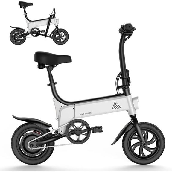 electric folding bike