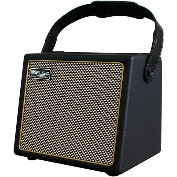portable 30w guitar amp