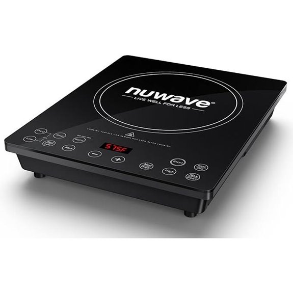 portable induction cooktop