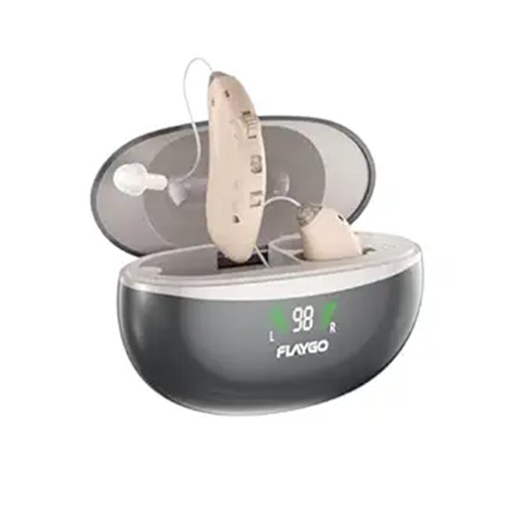 Rechargeable 16-Channel Digital Hearing Aids for Seniors