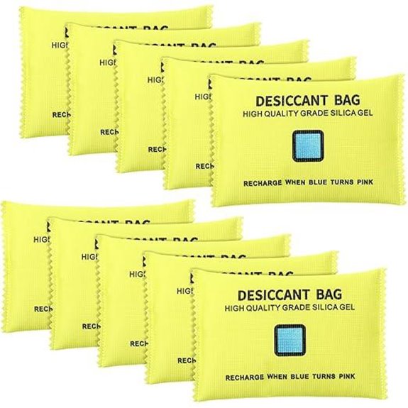 Rechargeable Silica Gel Desiccant Pack (10 Pack)