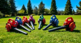 top backpack leaf blowers