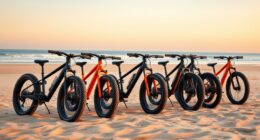 top fat tire beach e bikes