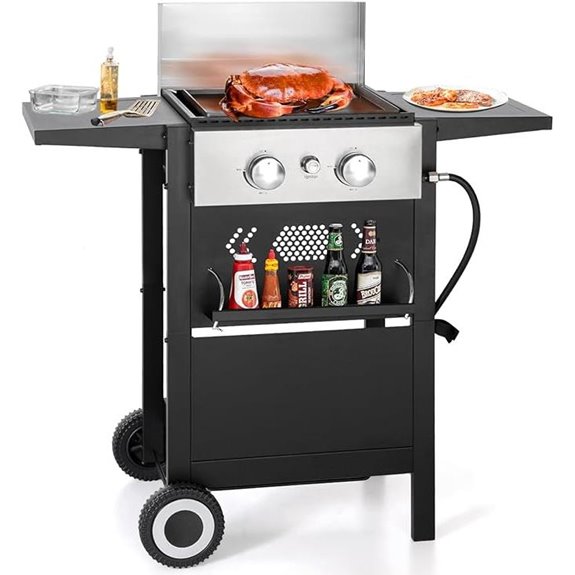 GREEN PARTY 2 Burner Gas Grill with Cast Iron Plate