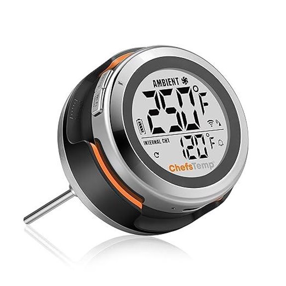 ProTemp S1 Wi-Fi/Bluetooth Grill Thermometer for Big Green Egg