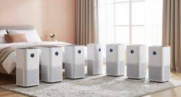 top hepa purifiers 2026