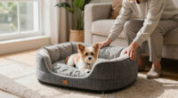 14 Best Pet Products for Seniors in 2026