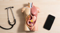 Long Covid May Physically Damage the Nerves That Control the Stomach