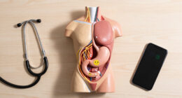 Long Covid May Physically Damage the Nerves That Control the Stomach
