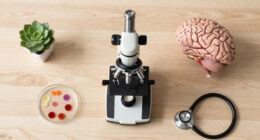 Scientists may have finally found how Alzheimer's kills brain cells
