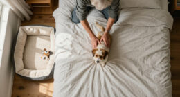 How Can I Kick My Dog Out Of Bed Without Hurting Our Bond?
