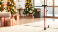 Yayayo Folding Cane with Seat: A Holiday Outing Companion